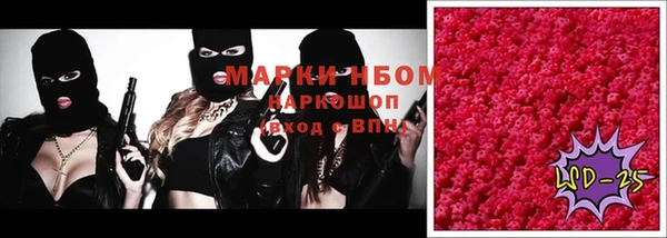 скорость Ладушкин