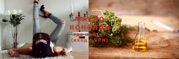 скорость Ладушкин