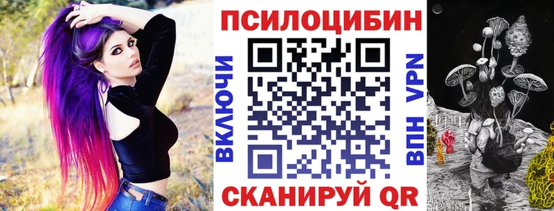 Купить где  Калининск  Галлюциногенные грибы мицелий 