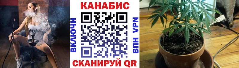 Канабис планчик  Купить  Калининск 